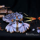 Illustration for article titled A emFinal Fantasy/em Statue So Good Id Stick It In A Gallery And Charge People Money To Look